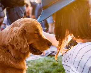 boşanmada köpek kimde kalır